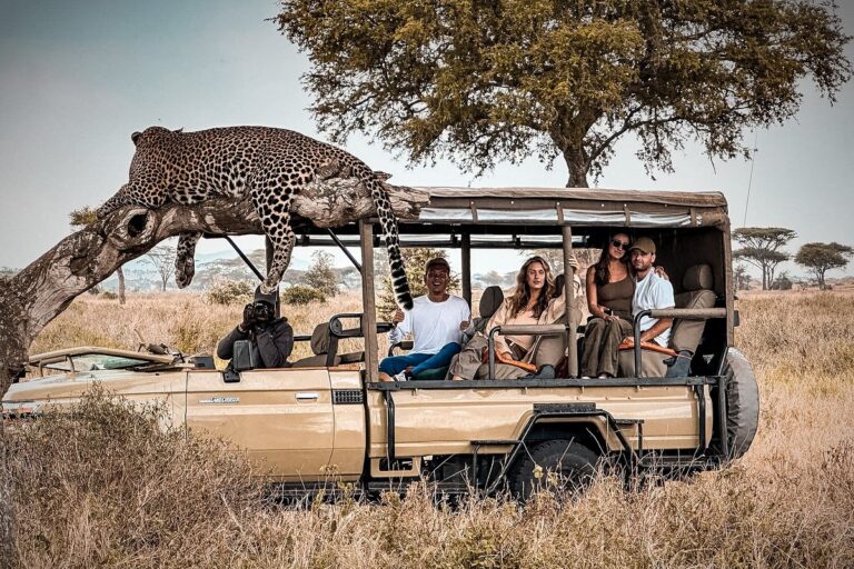 What Makes a Safari Truly Authentic?