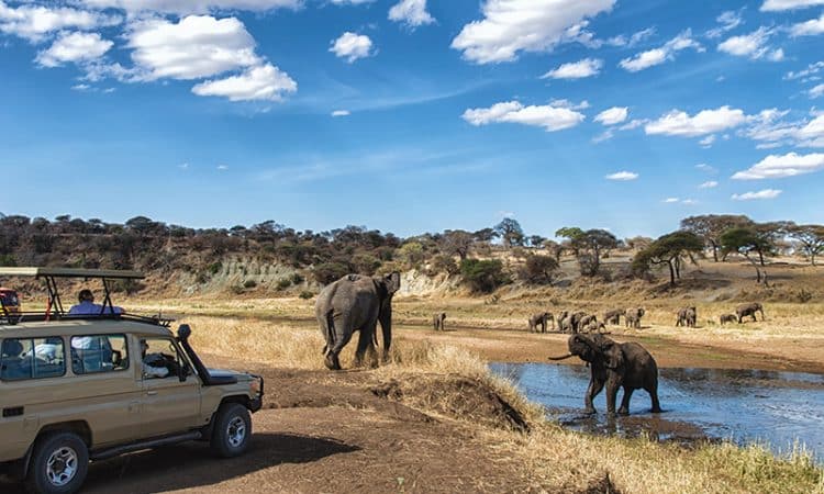 Arusha National Park Day Safaris