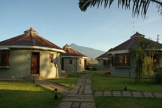 Arusha Planet Lodge 10