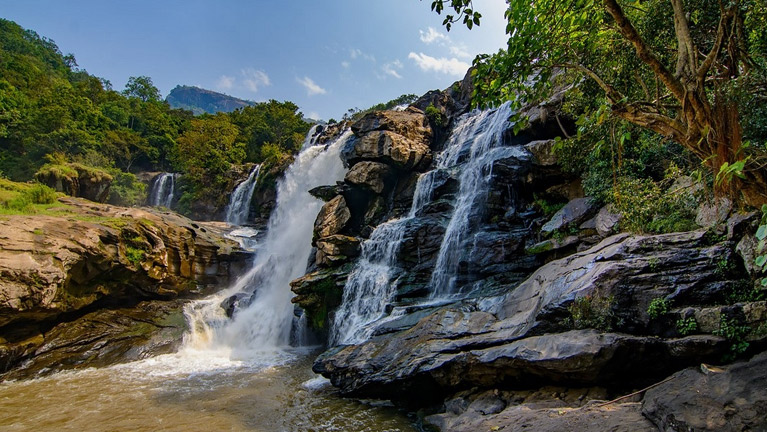 Coffee Plantation and Waterfall Excursions