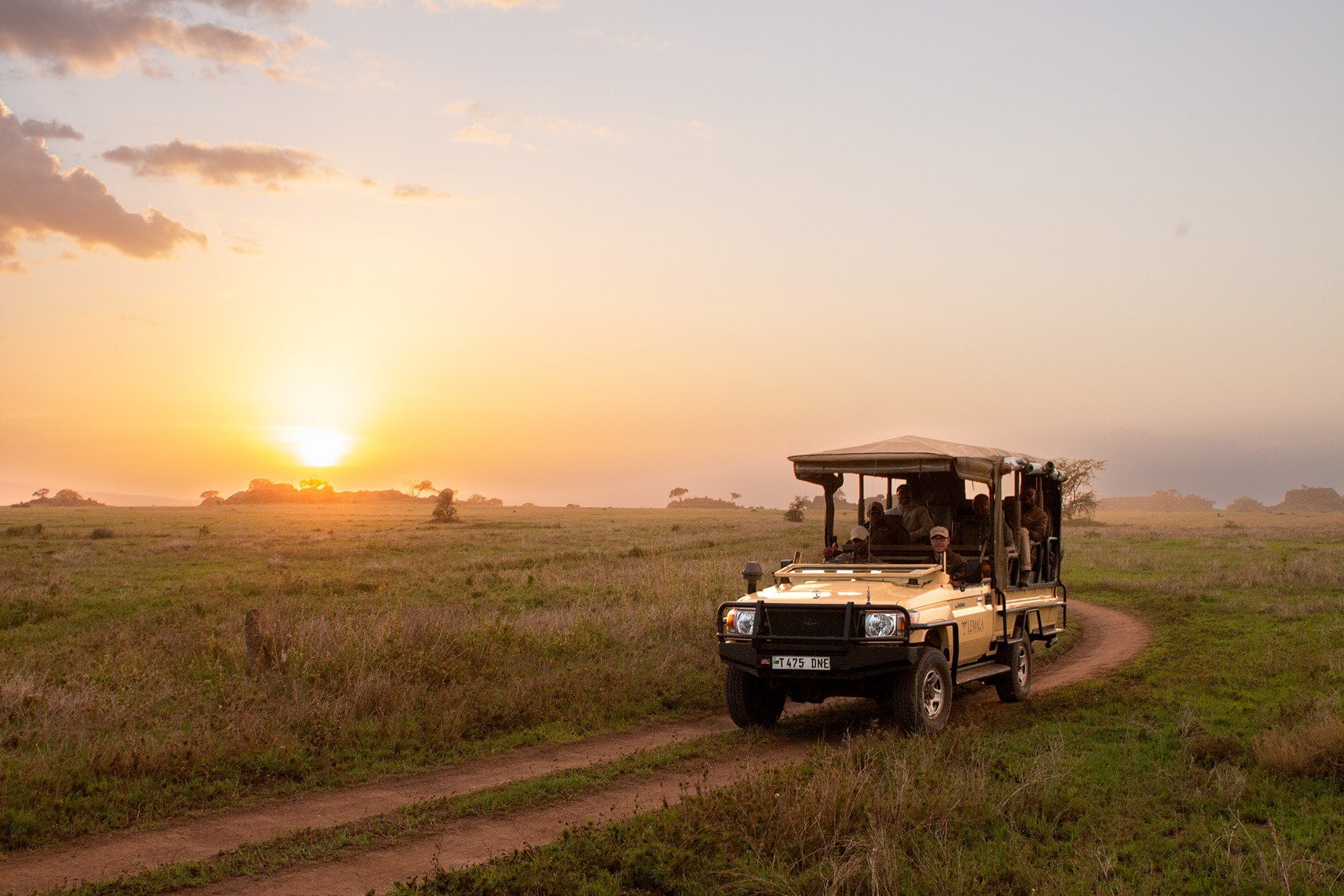 Day Game Drives