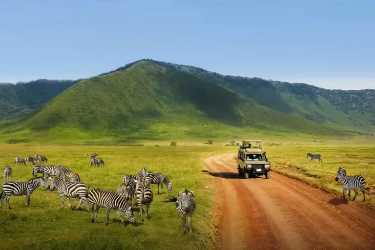 Day Trip Safaris & Trekking