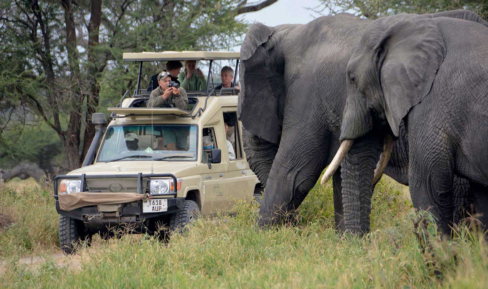 Day-Trip Safaris to Nearby National Parks