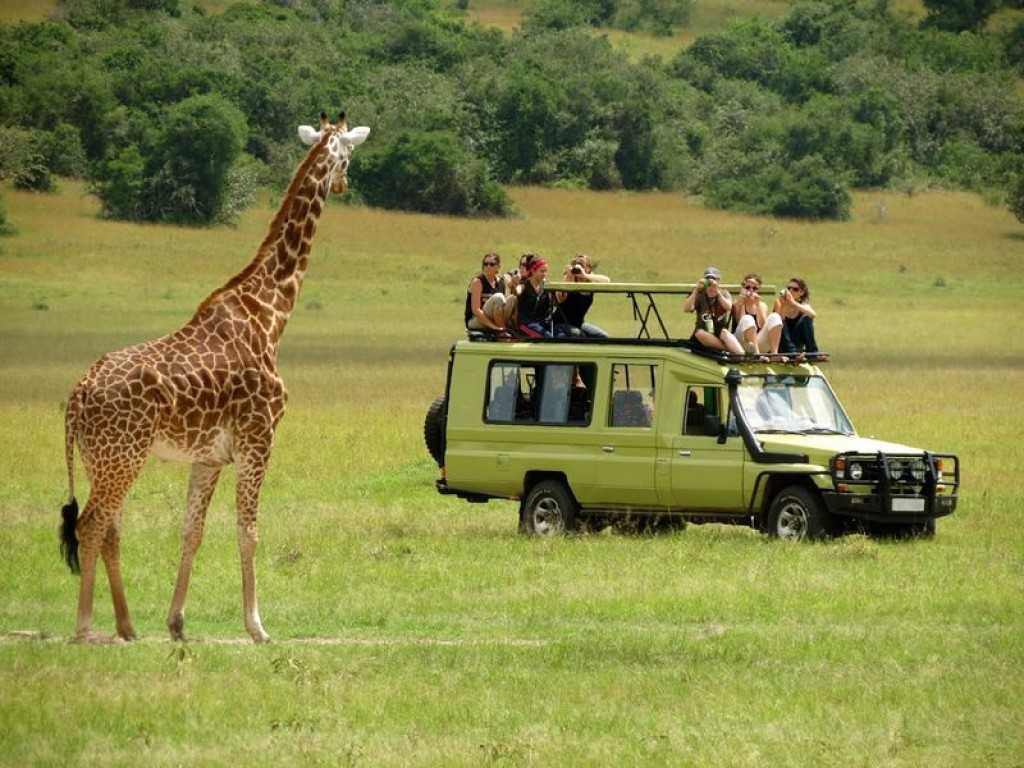 Day Trips to Arusha National Park