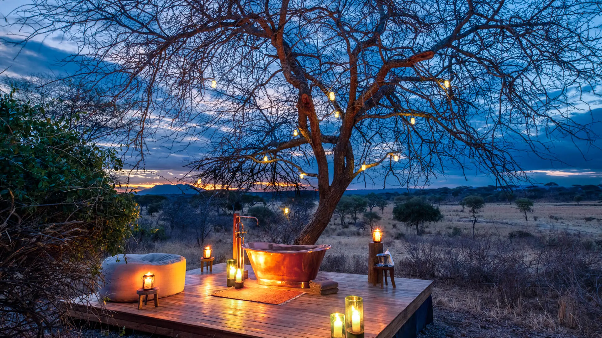 Private Safari vs Group Safari: Pros and Cons 1 private safari