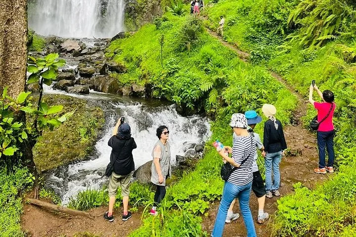 Foothill Waterfall and Coffee Farm Hikes