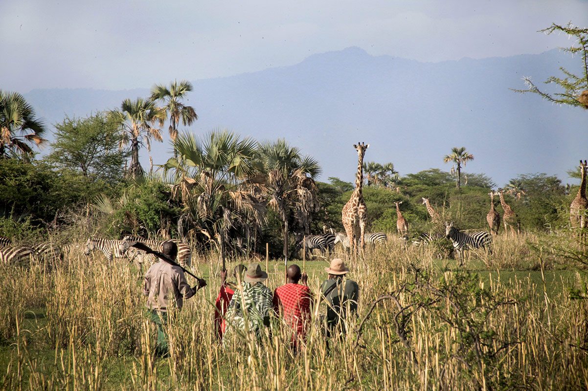 Guided Walking Safaris & Tracker Walks