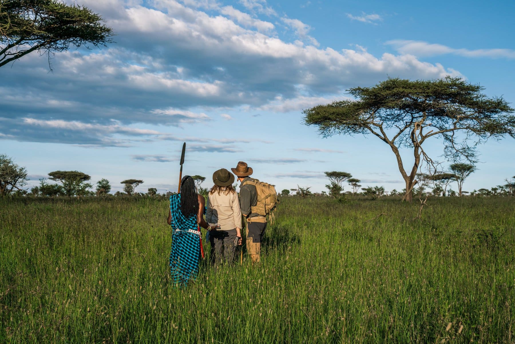 Guided Walking Safaris