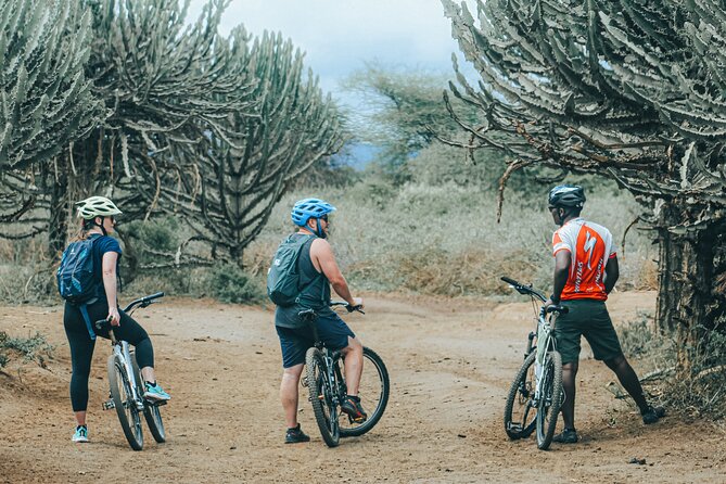 Hiking & Cycling