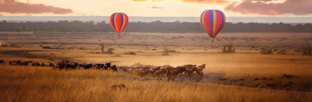 Top Safari Destinations in Kenya for First-Time Travelers 7 Kenya best safari destination