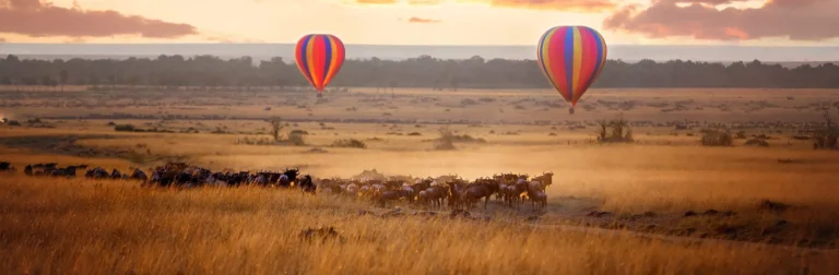 Top Safari Destinations in Kenya for First-Time Travelers
