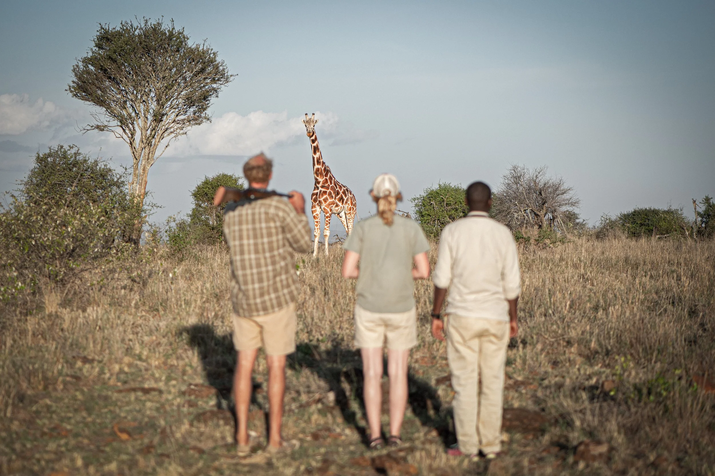 Walkiing safari Kenya,Laikipia plateau