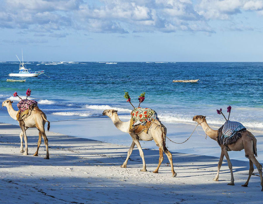 Kenya Coast