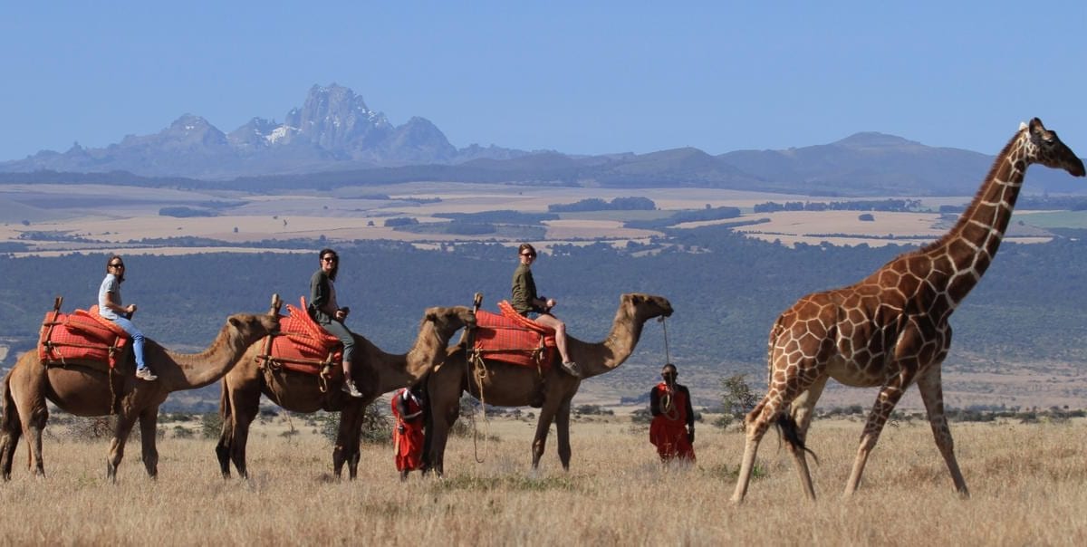 Hidden Gems in Kenya: Beyond the Masai Mara 2 Lewa-Conservancy-Kenya