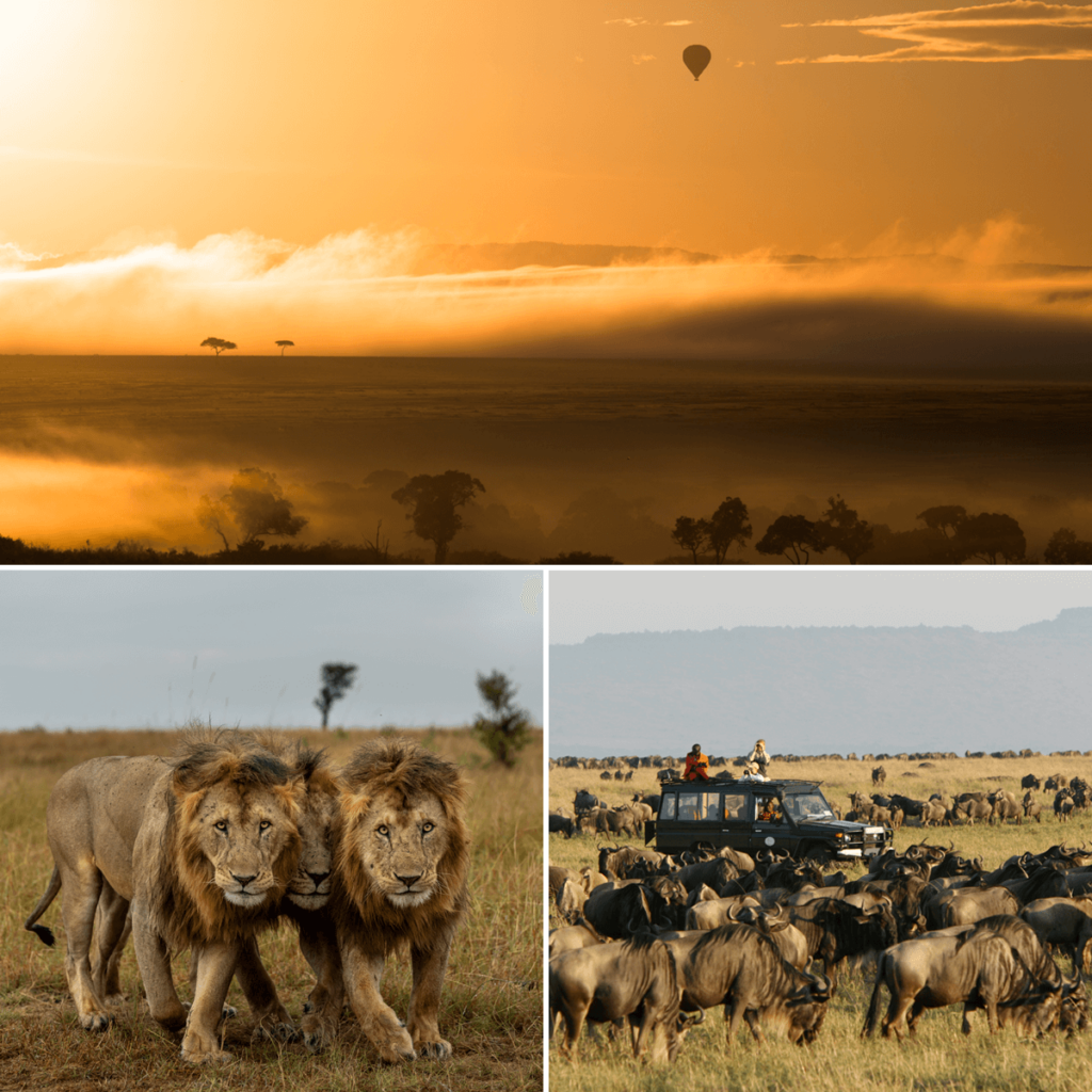 Conservancy Safaris in Kenya Explained 2 conservancy Kenya safari