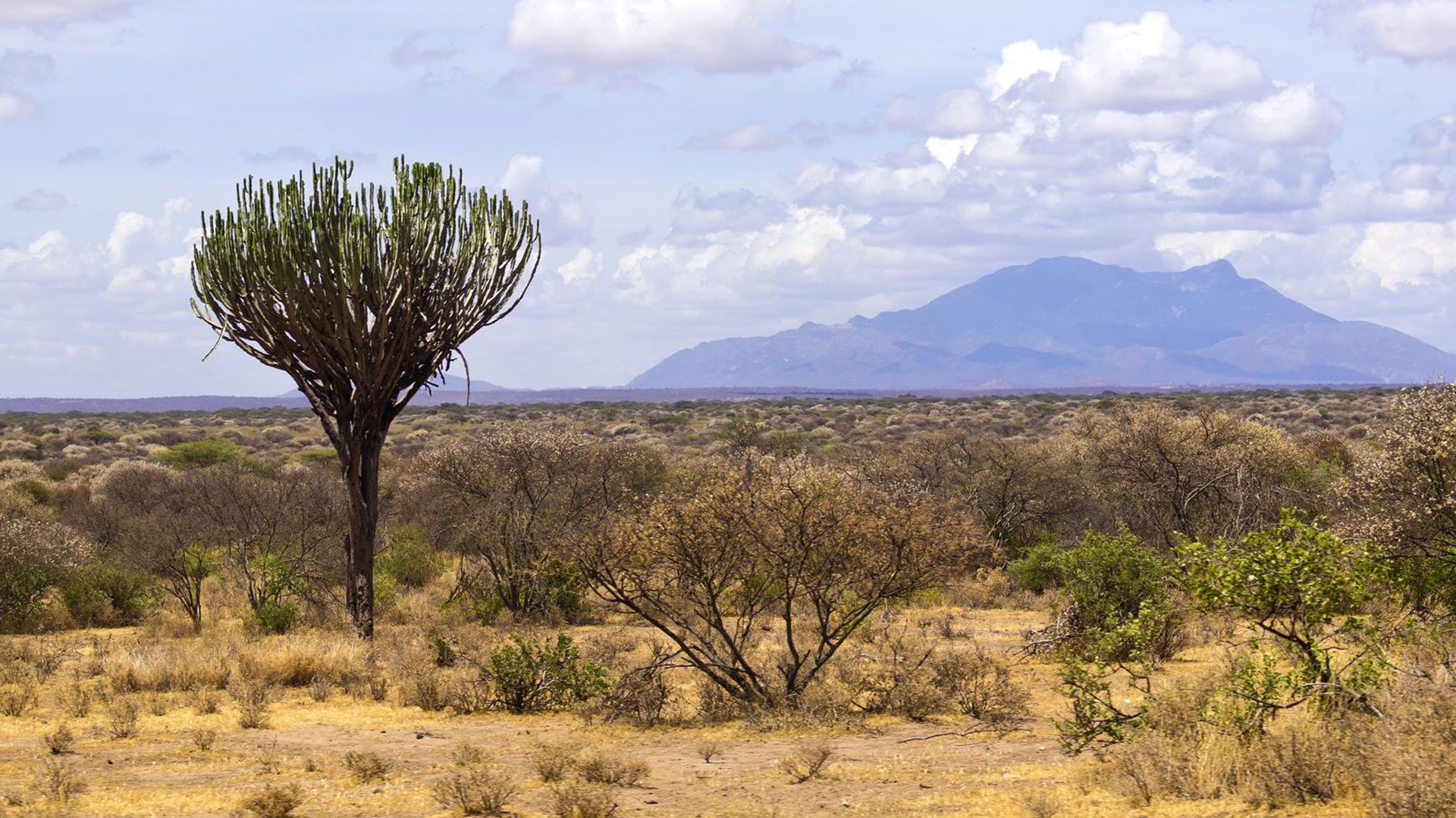 Hidden Gems in Kenya: Beyond the Masai Mara 6 Meru National Park