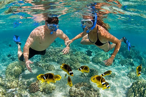 Snorkelling in Zanzibar