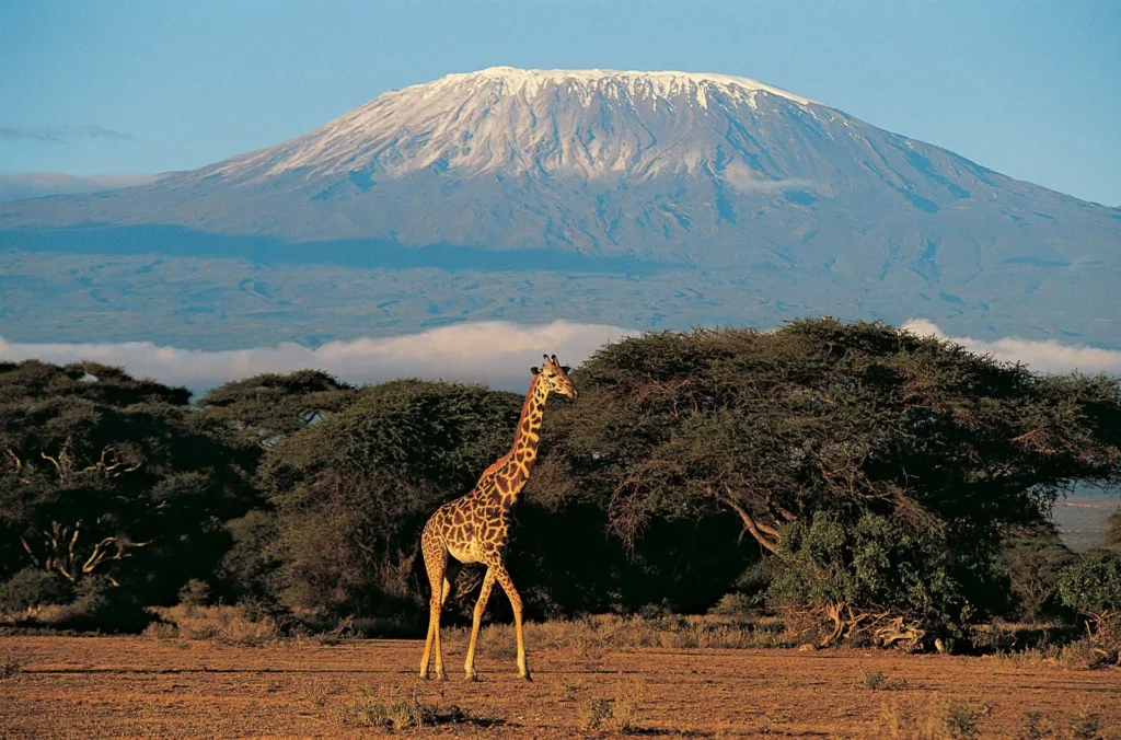 East Africa mountains Kilimanjaro vs Kenya