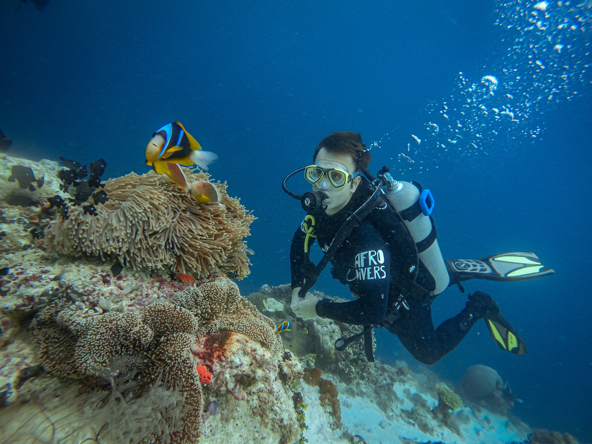 island hopping Pemba Divers