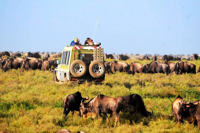 Day Safaris to Arusha National Park