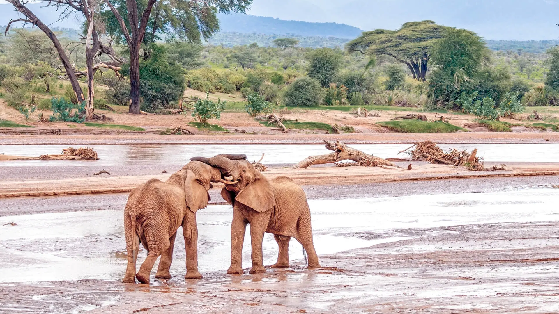 Samburu National Park