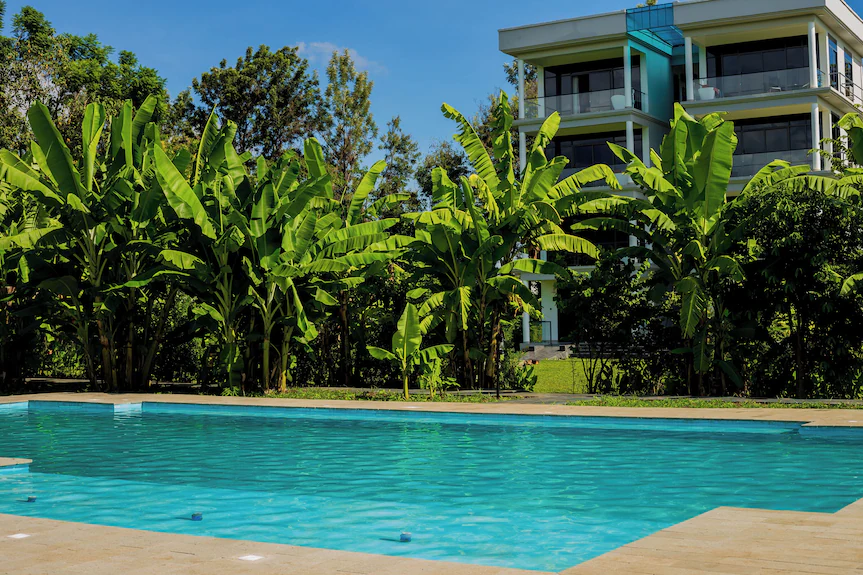 Scenic Swimming & Relaxation