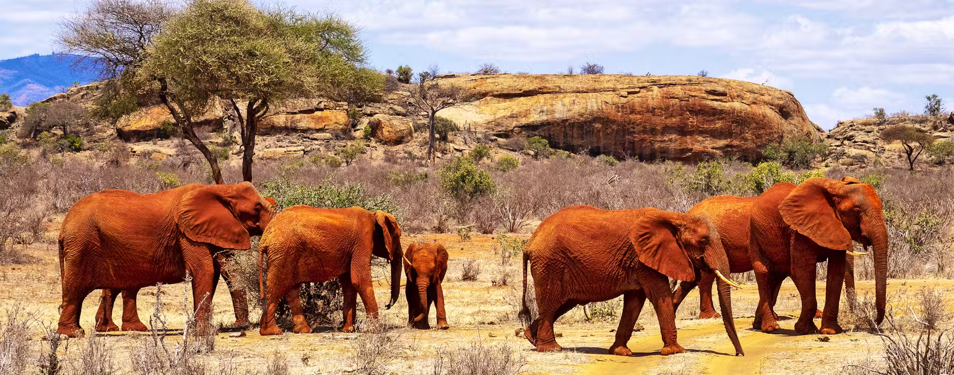 Tsavo East National Park Safari Guide | Ryder Signature