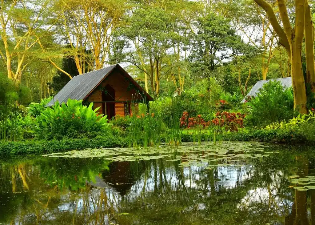 Tumbili Lodge in Arusha 2