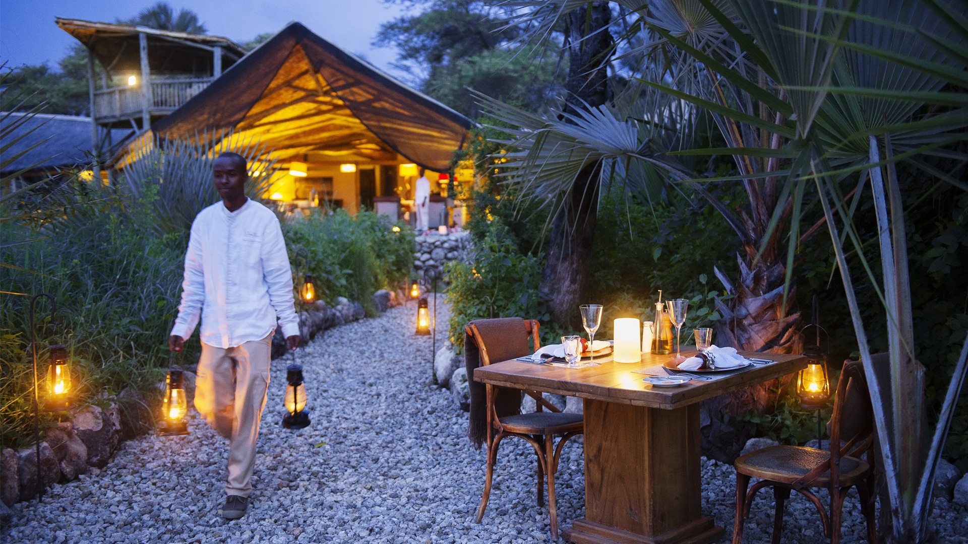 Wild & Experiential Dining
