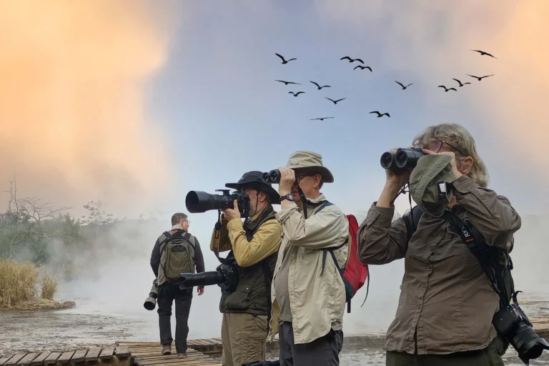 Kenya Birding Safari Guide