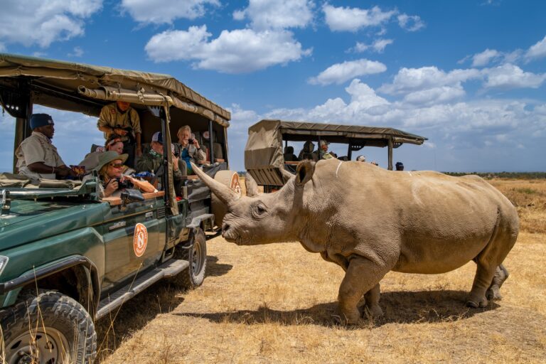 Conservancy Safaris in Kenya Explained