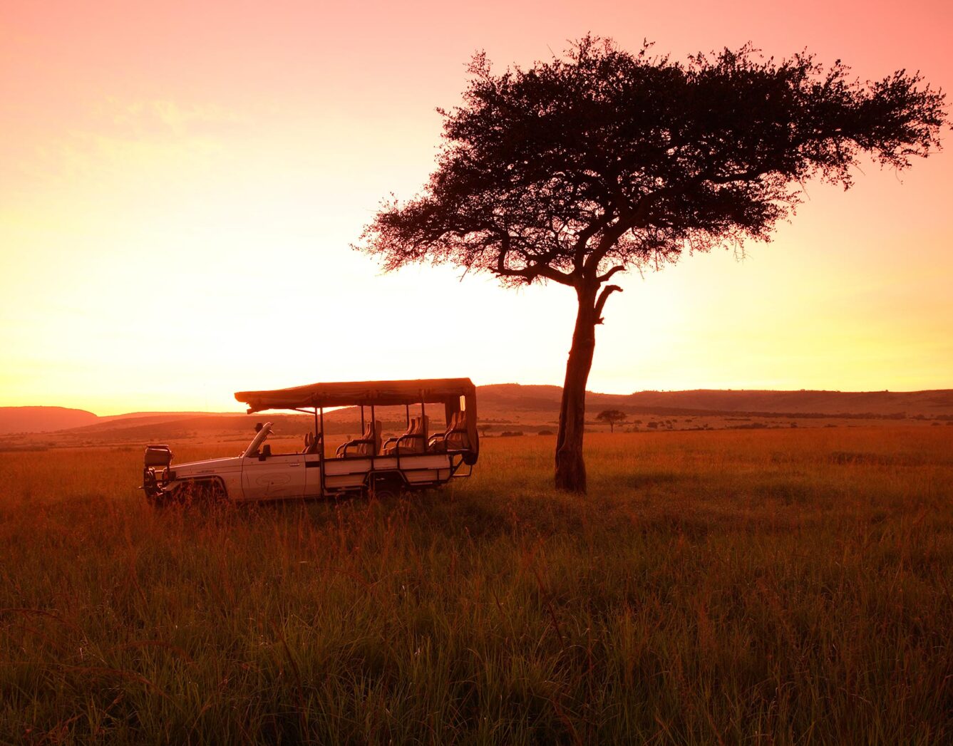 early morning safari drive
