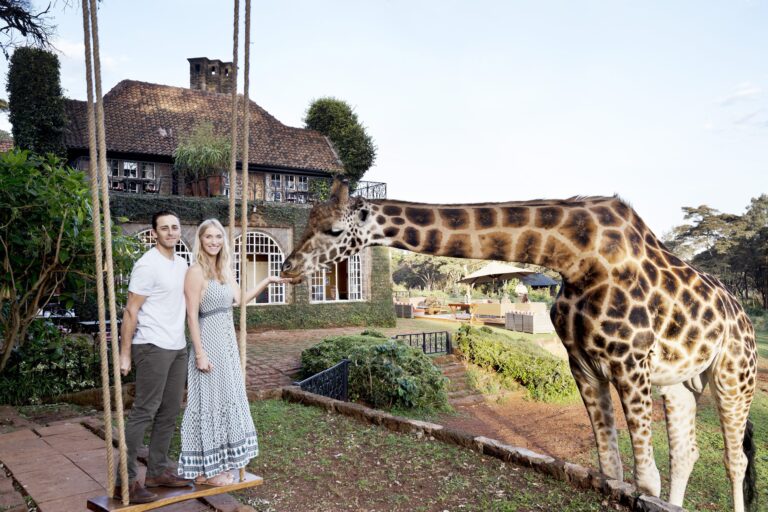 Family safari Kenya:Best Destinations,Age Tips & Planning Guide