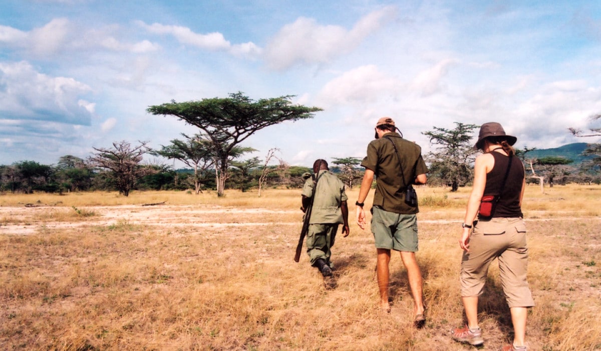 guided walking safari