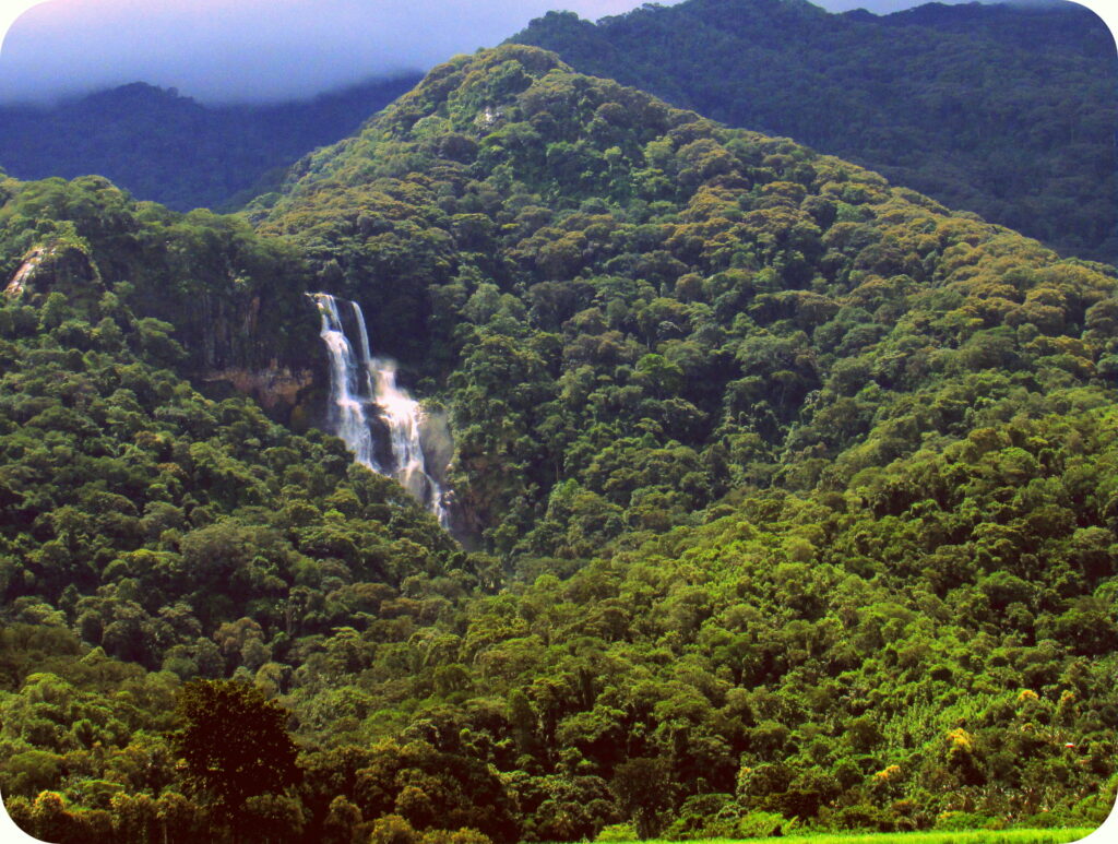 Sanje Waterfall cascading through lush rainforest in Udzungwa Mountains National Park Tanzania