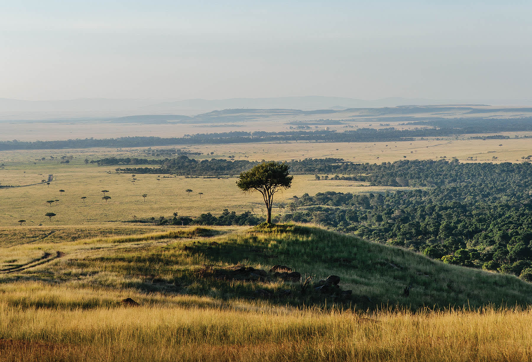 Green season in Maasai Mara Kenya