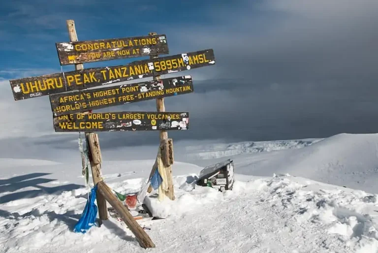 Why Success Rates Matter on Kilimanjaro