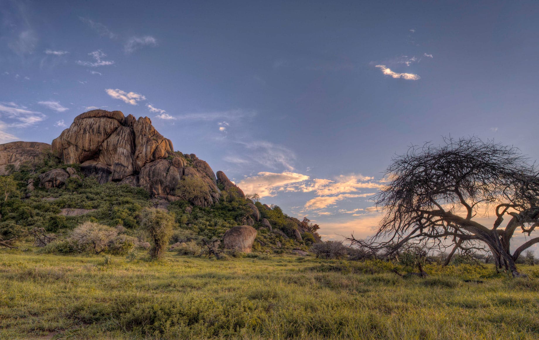 Conservancy Safaris in Kenya Explained 3 Conservancy safari Kenya