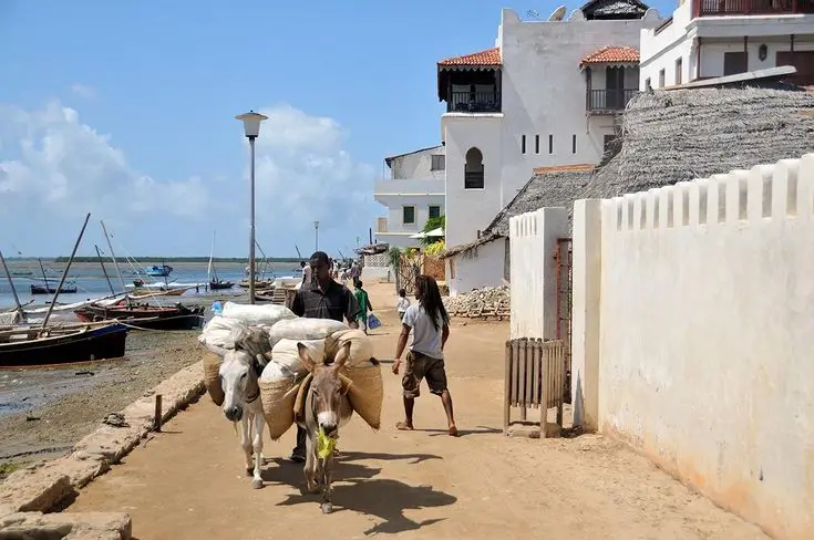 Lamu old town visit