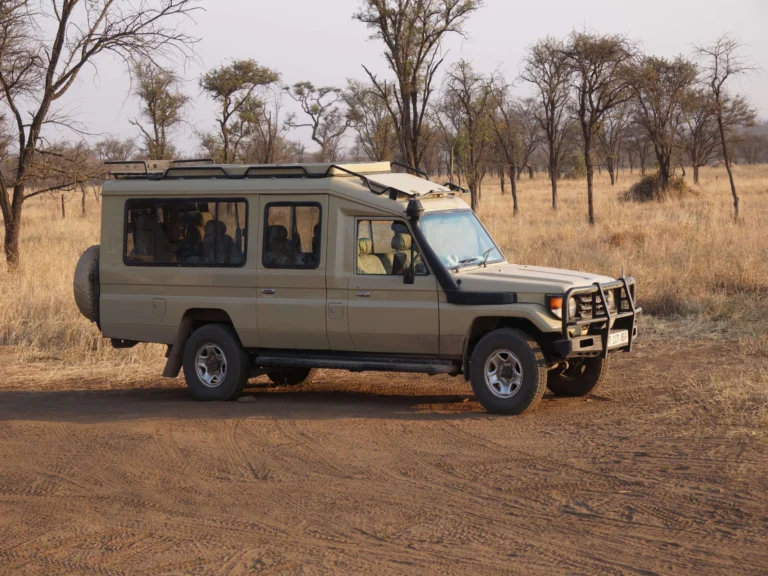 How Safari Vehicles Affect Your Experience