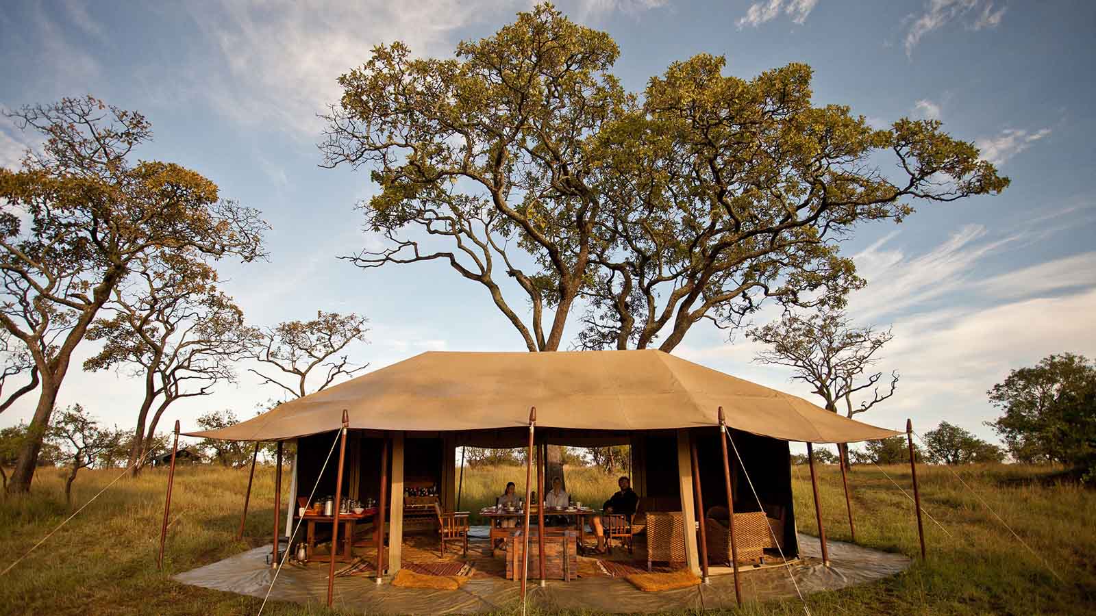 mobile safari camp 