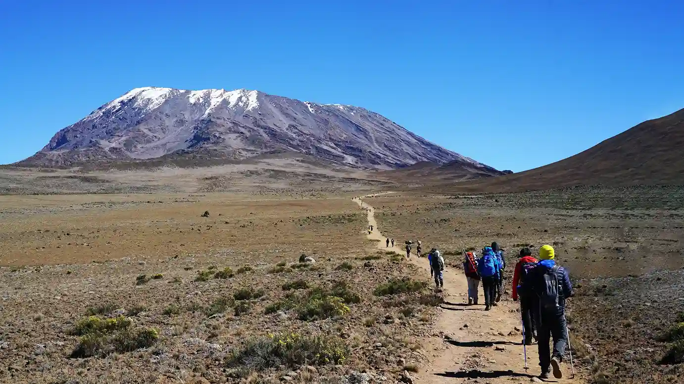 Machame vs Lemosho Route: Detailed Comparison 2 lemosho route kilimanjaro