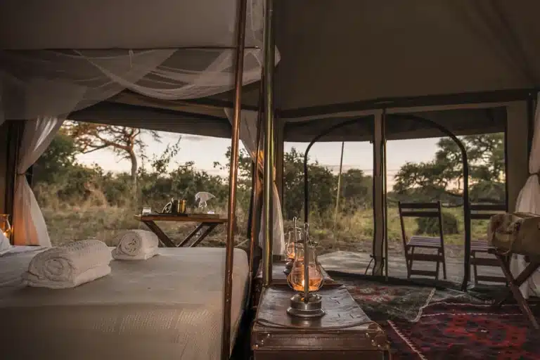The Budget vs Luxury Serengeti Safari: The Real Differences
