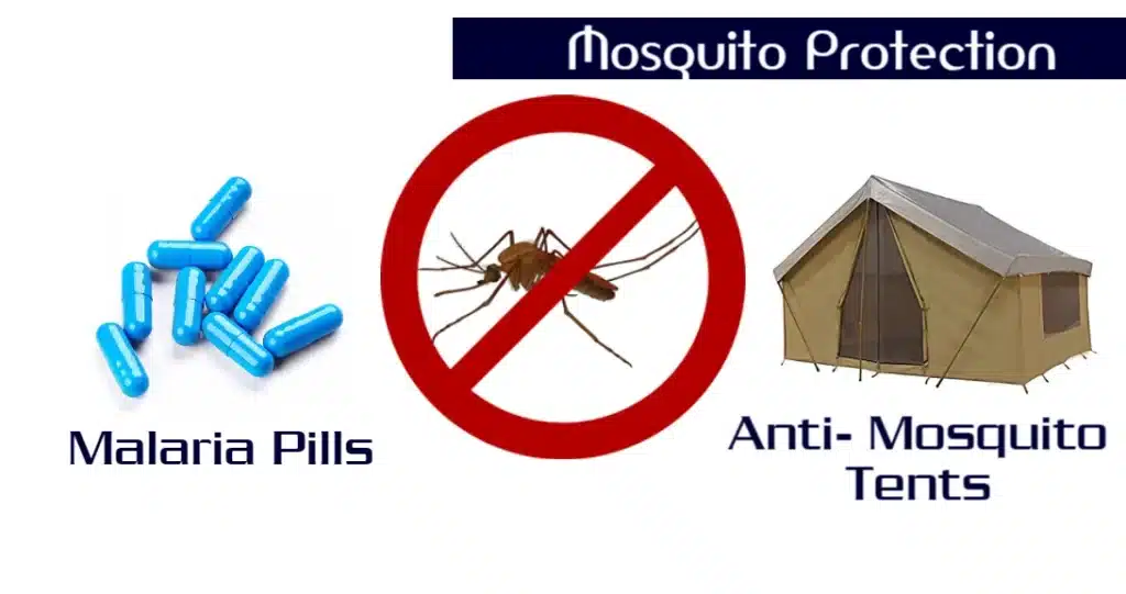 Malaria in the Serengeti: Risks and Prevention Tips 4 Malaria in the Serengeti