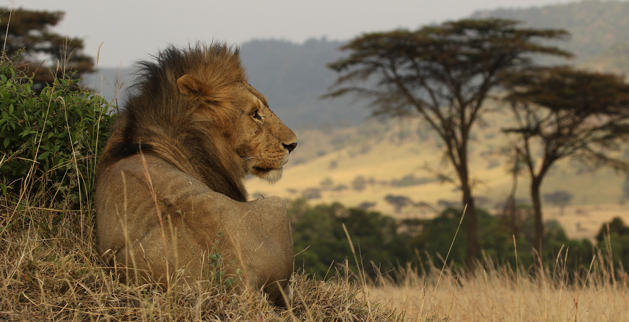 Conservancy Safaris in Kenya Explained 1 Conservancy safari Kenya