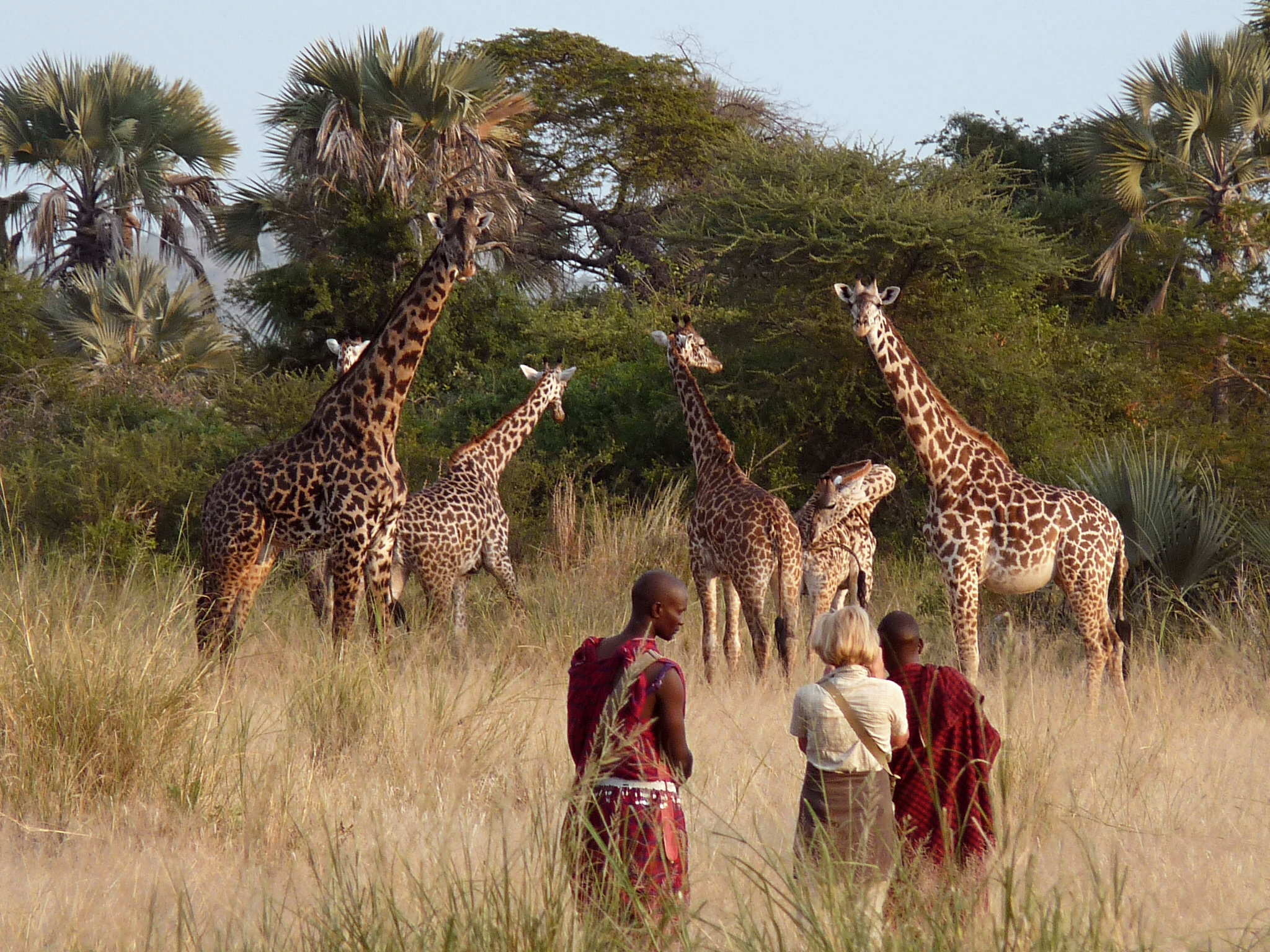 Guided walking safari