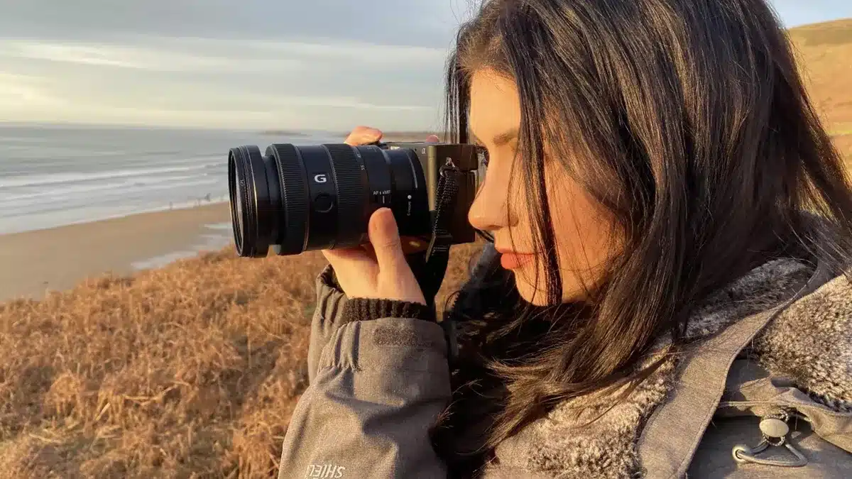 wildlife photography