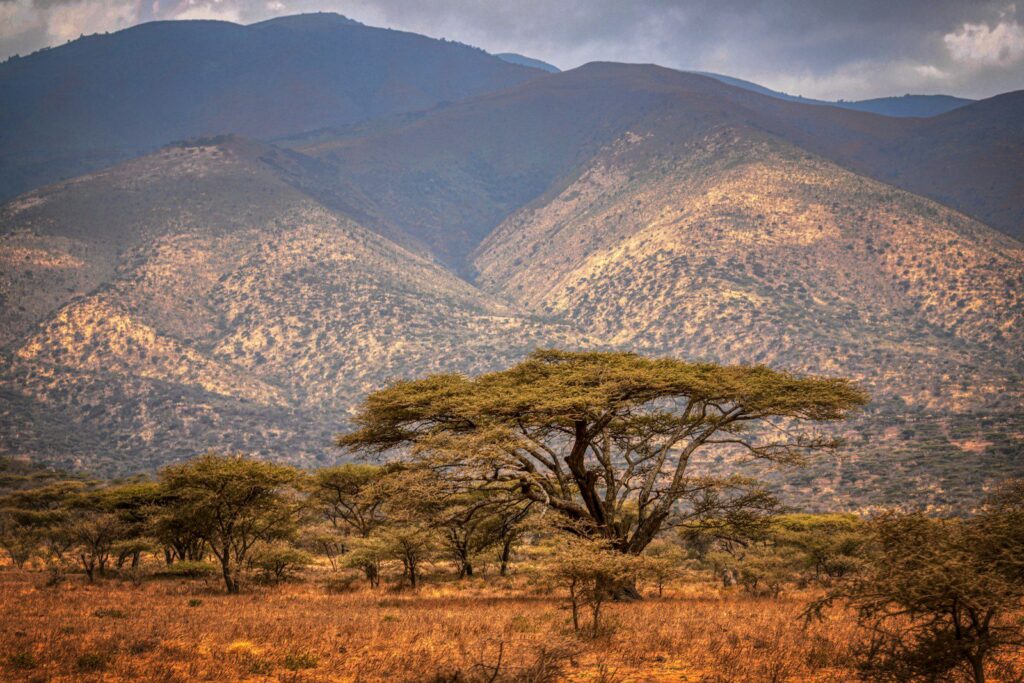 conservation area vs national park