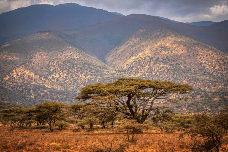 Conservation Areas vs National Parks: What’s the Difference?