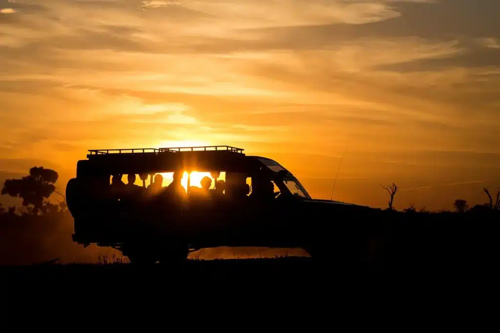 Night Game Drives in Tanzania: What to Expect 1 night game drive